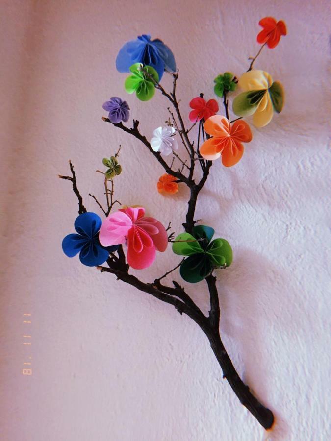 Hostel Maria Bonita Guadalajara Zewnętrze zdjęcie